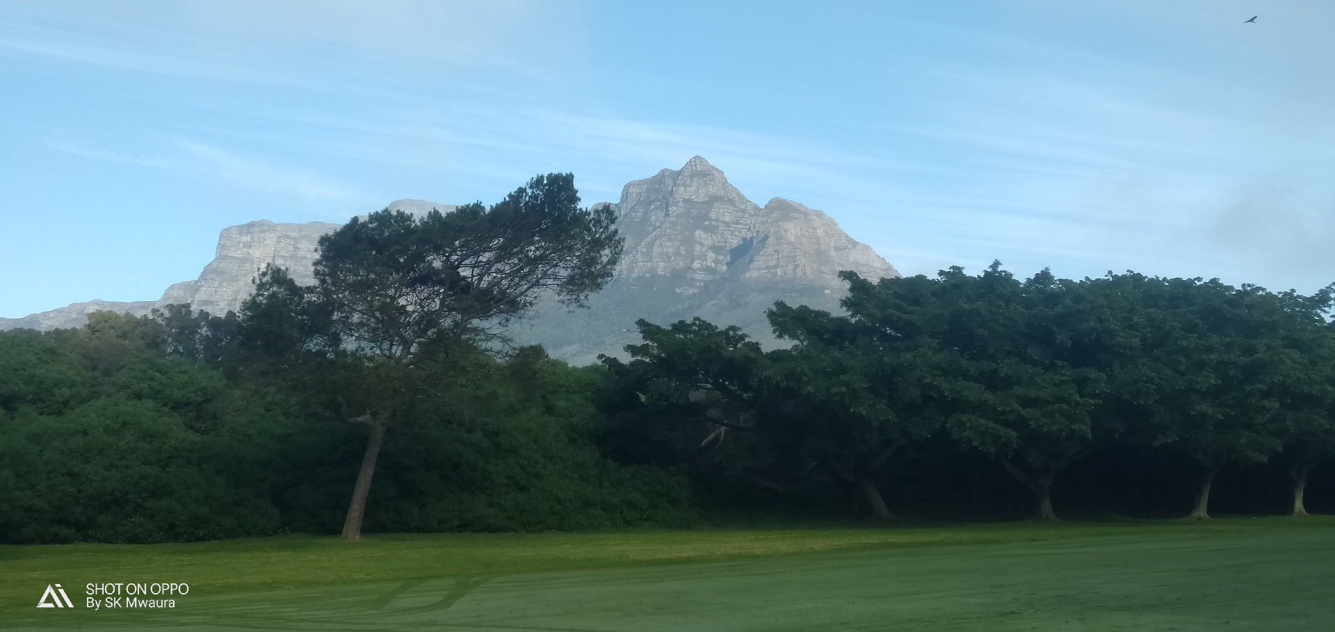 Table Mountain backdrop