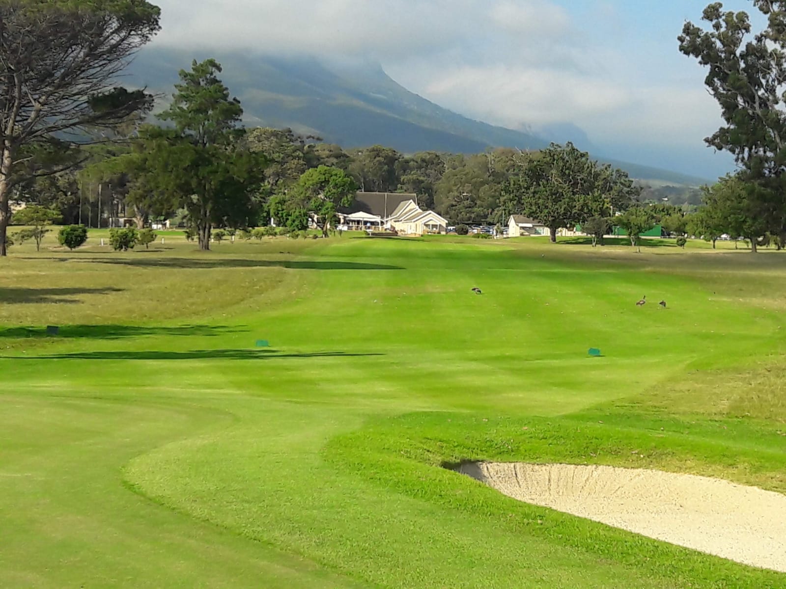 South African golf course with mountain views