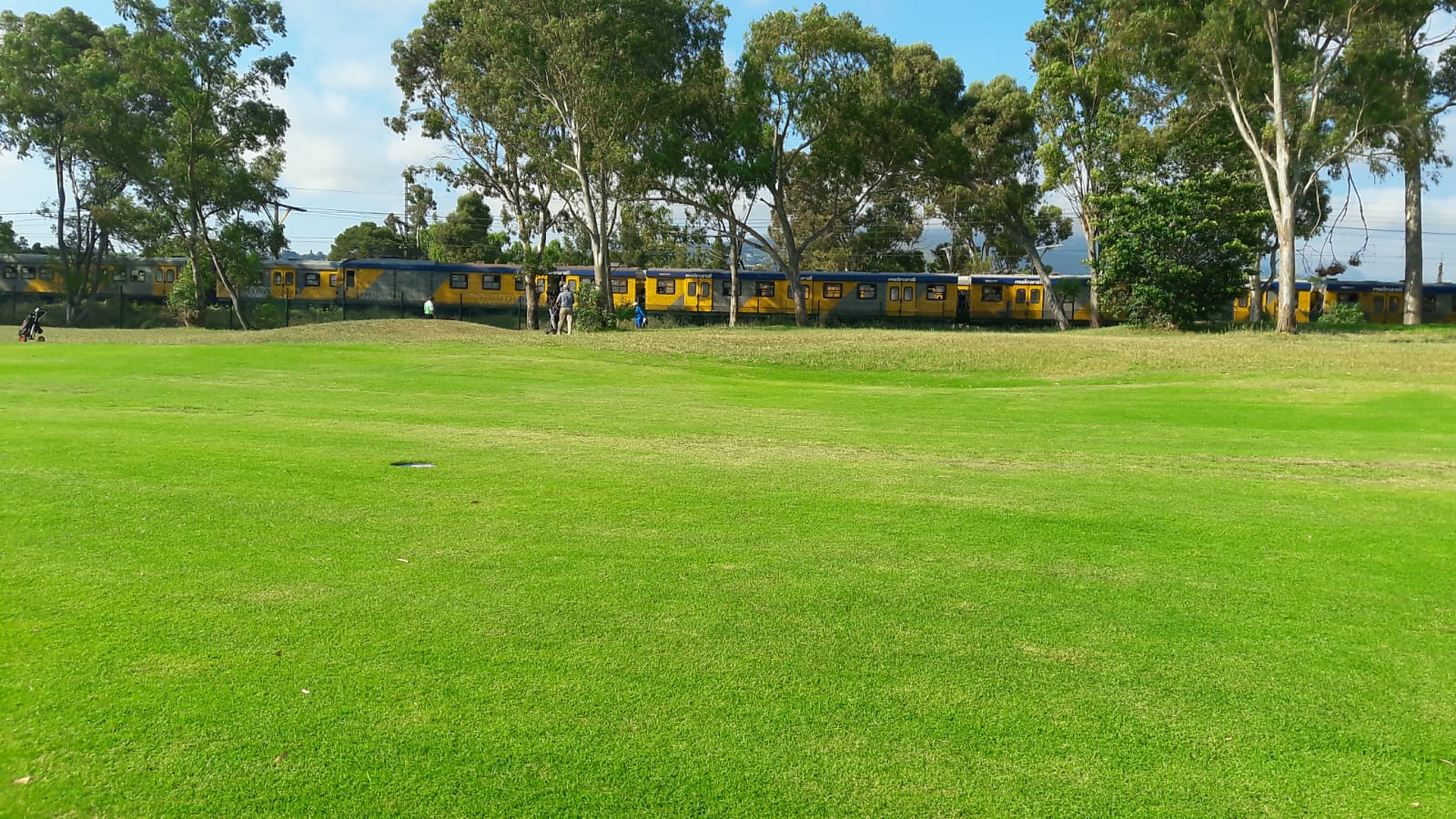 Course view with passing train